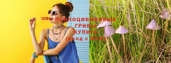 прущие крисы Бронницы