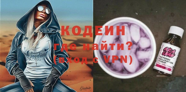 шишки Верея
