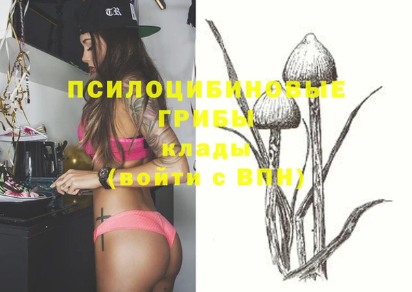 гидра Бугульма