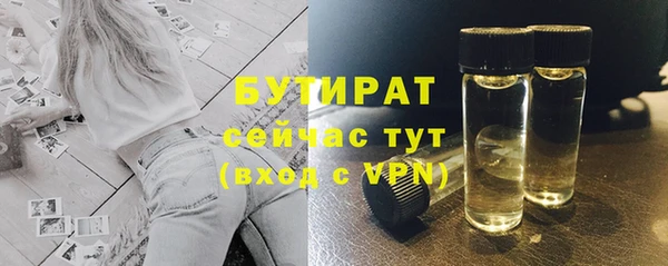 шишки Верея