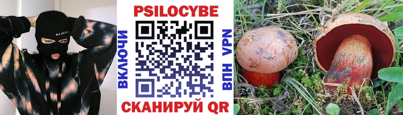 Галлюциногенные грибы Psilocybine cubensis  купить закладку  Раменское 